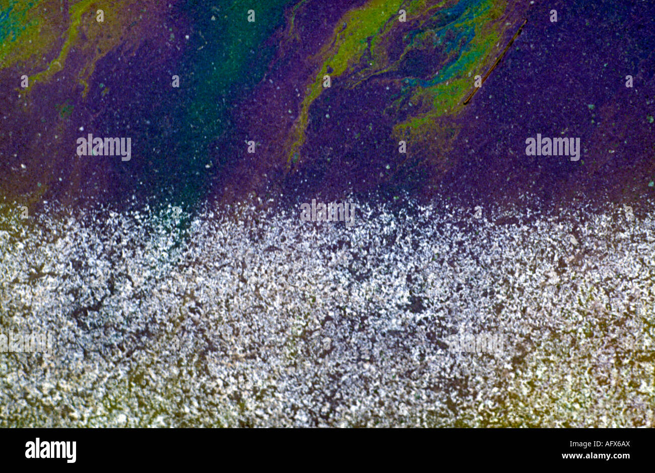 Oil leak and water mix on asphalt Stock Photo