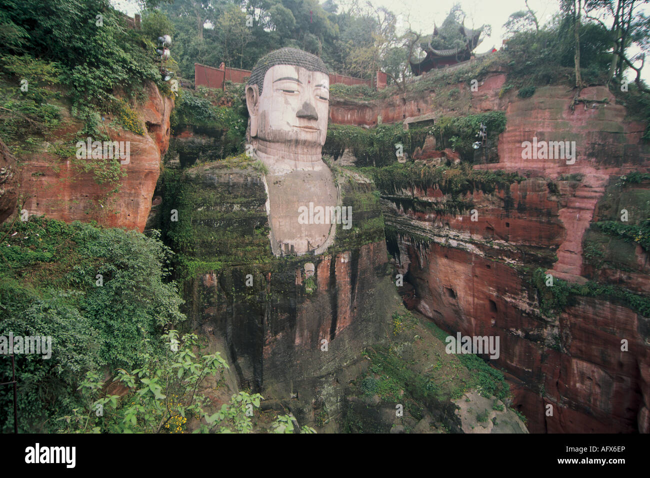 Buddha Colossus in Leshan     Giant Buddha statue cut out of a rocky hillside. Stock Photo
