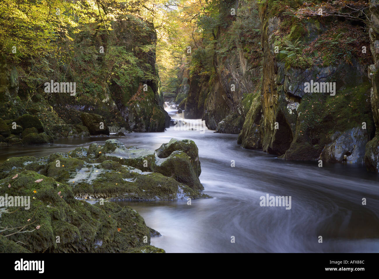 Wales Rivers Pretty Fairy Glen River Llugwy Betws Y Coed Snowdonia Gwynedd Wales Stock ...