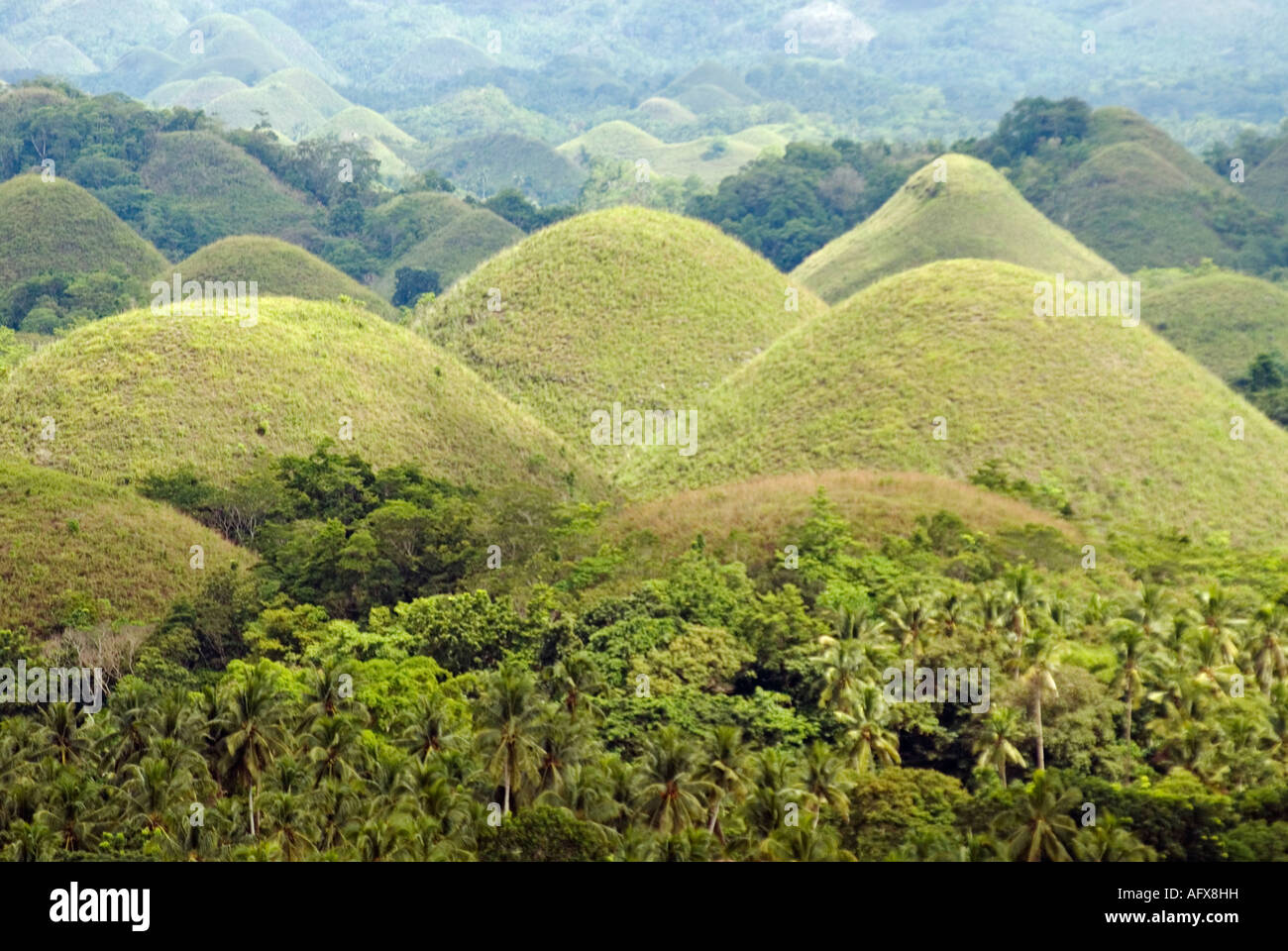Philippines Bohol Chocolate Hills Visayas Stock Photo
