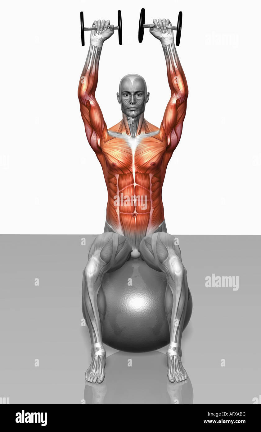 Dumbbell overhead press Stock Photo Alamy