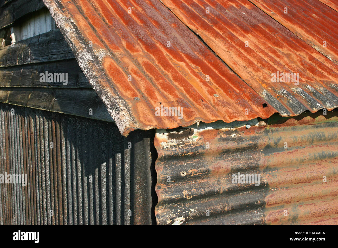 Corrosion on corrugated steel shed Stock Photo Alamy
