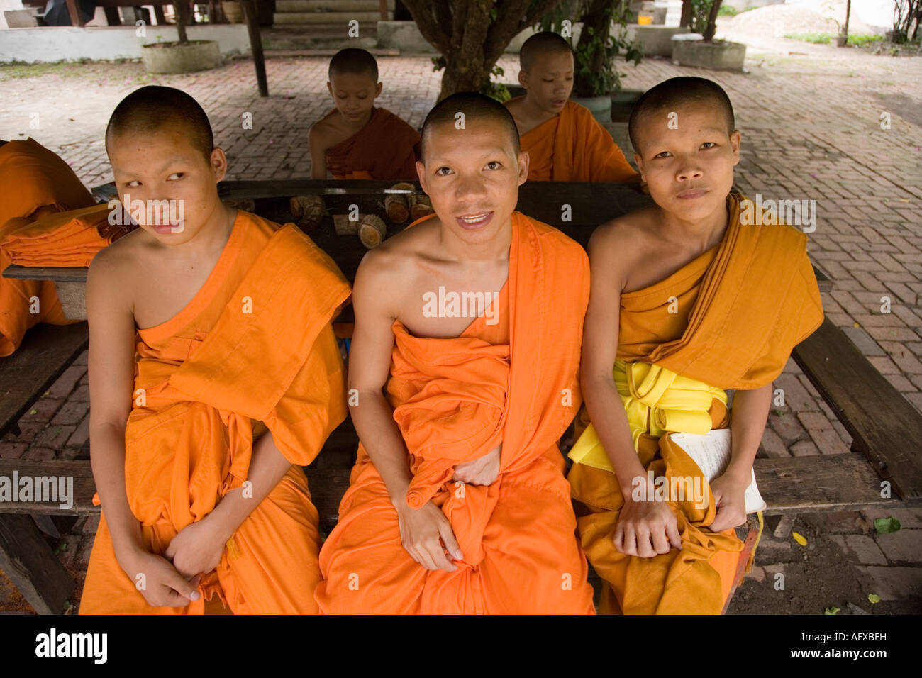 Group of novice Buddhist monks in Luang Prabang Laos Stock Photo