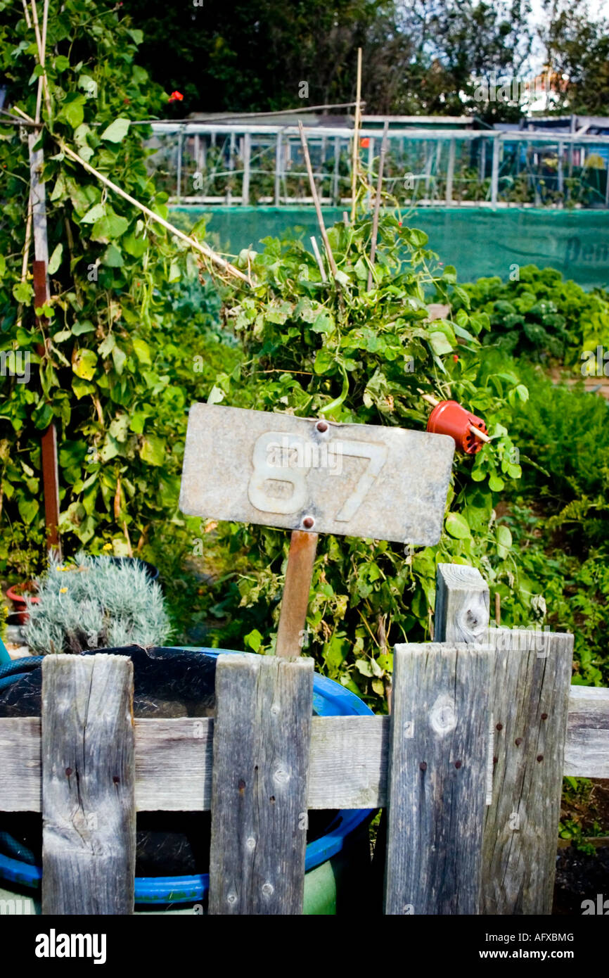 Plot numer on an allotment Stock Photo - Alamy
