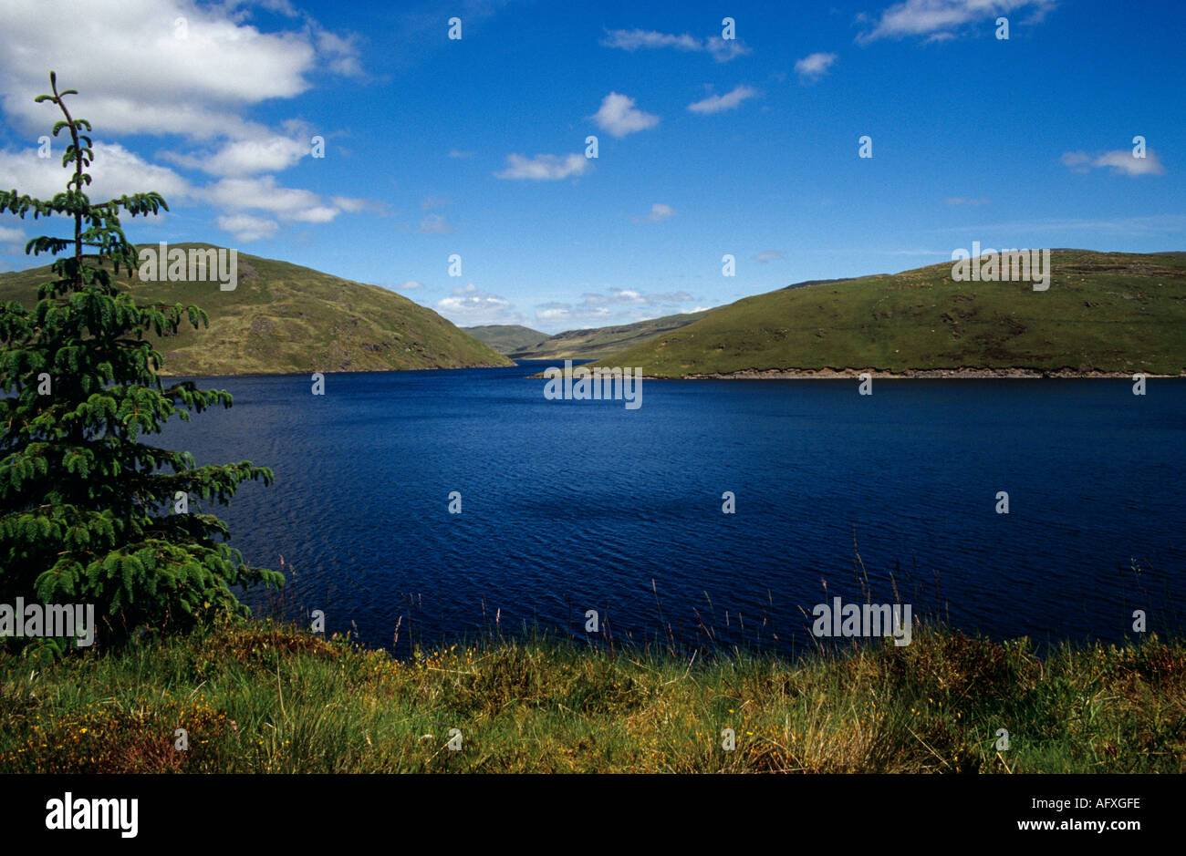 Ceredigion North Wales UK June Nant y Moch reservoir built in 1964 as ...