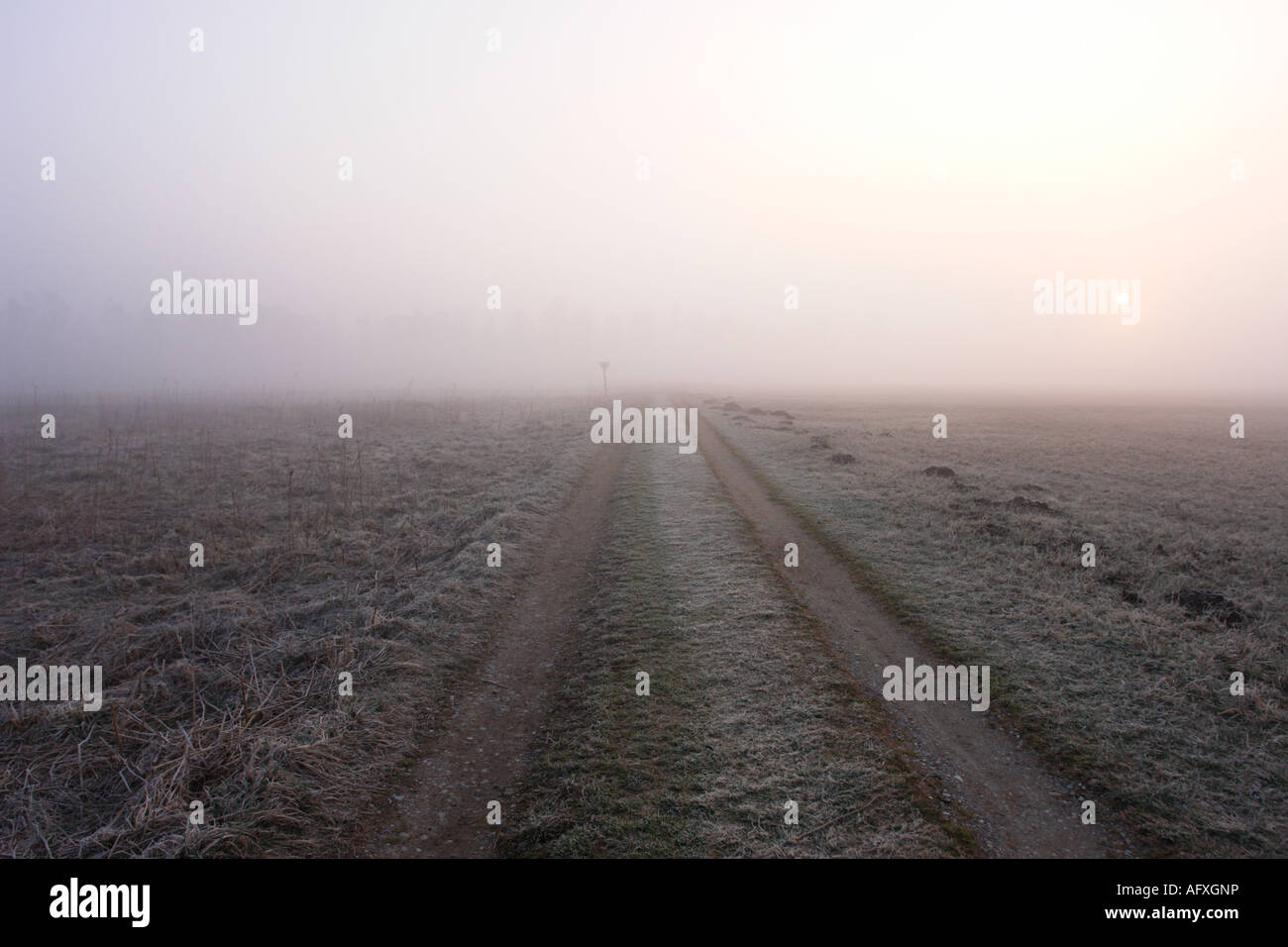 Misty road landscape hi-res stock photography and images - Alamy