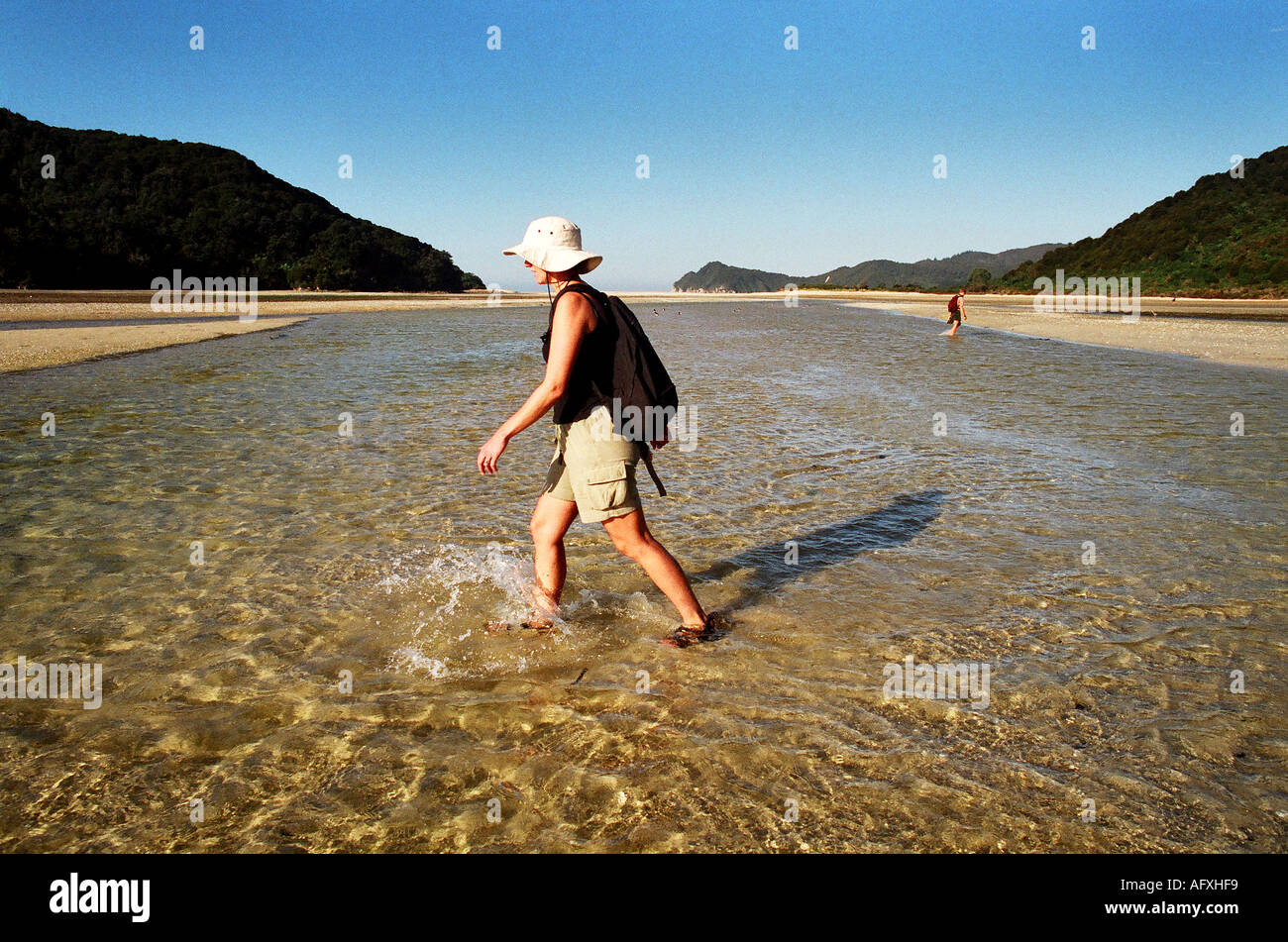 Crossing the Awaroa Inlet on the Abel Tasman Coast Path Stock Photo - Alamy