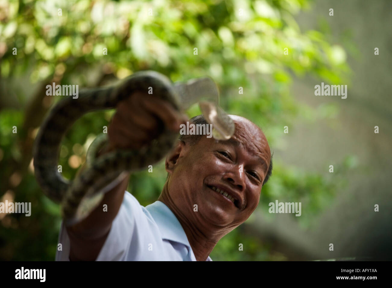 Snake handler grimaces, Red Cross Snake Farm, Bangkok, Thailand Stock Photo