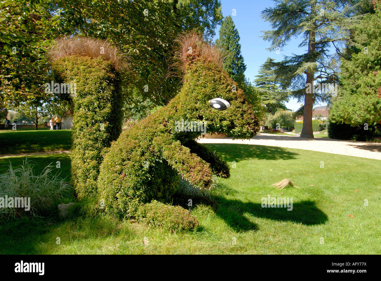 Topiary squirrel, Descartes, sud-Touraine, France. Stock Photo