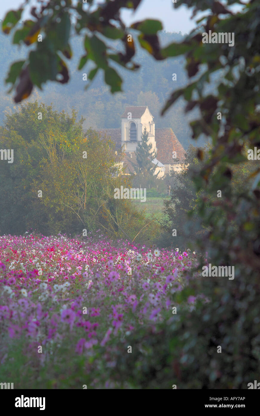 Typical 'wild' flower display seasonally sown around Chaumussay and many other villages in the sud-Touraine, France. Stock Photo