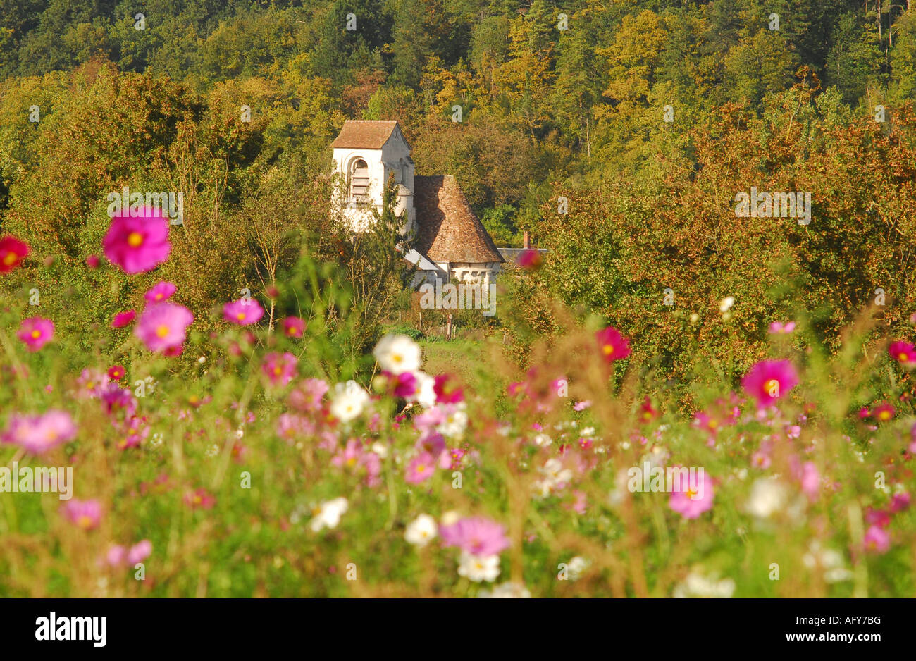 Typical 'wild' flower display seasonally sown around Chaumussay and many other villages in the sud-Touraine, France. Stock Photo