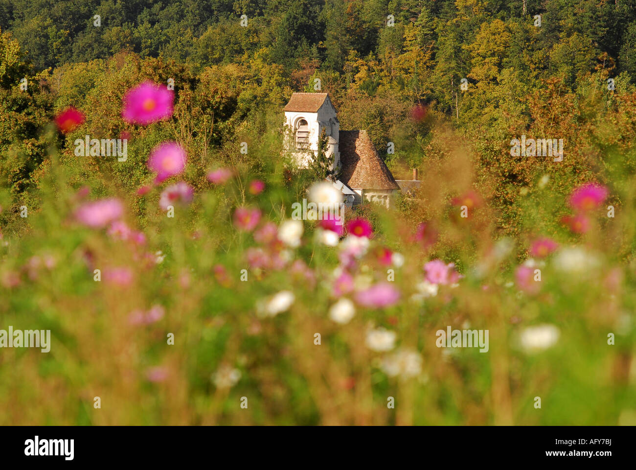 Typical 'wild' flower display seasonally sown around Chaumussay and many other villages in the sud-Touraine, France. Stock Photo