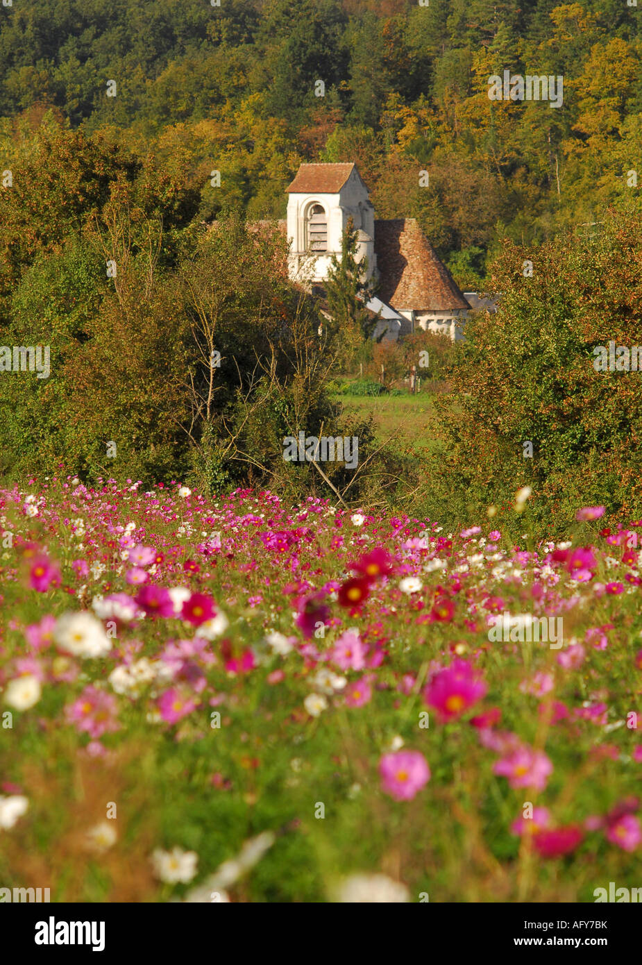 Typical 'wild' flower display seasonally sown around Chaumussay and many other villages in the sud-Touraine, France. Stock Photo