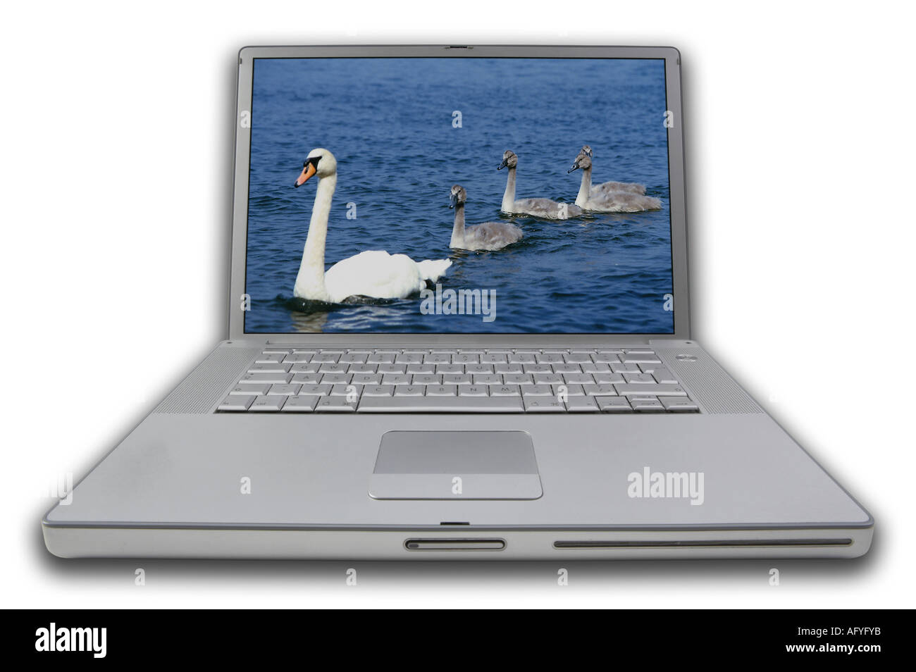 LAP TOP NOTE BOOK PERSONAL COMPUTER WITH SCREEN DISPLAYING PICTURE OF ...