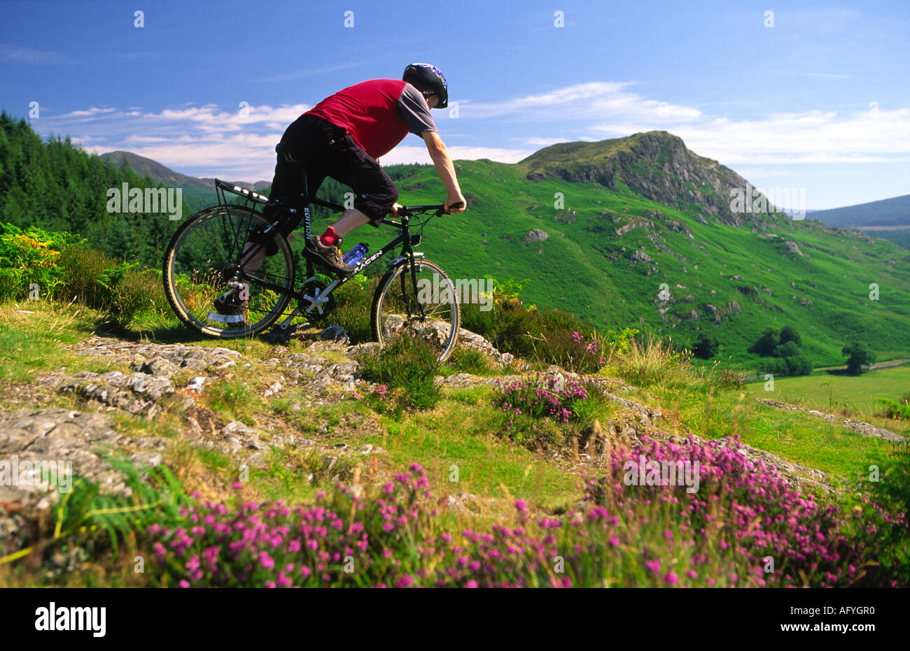 The cycling murrays hi-res stock photography and images - Alamy