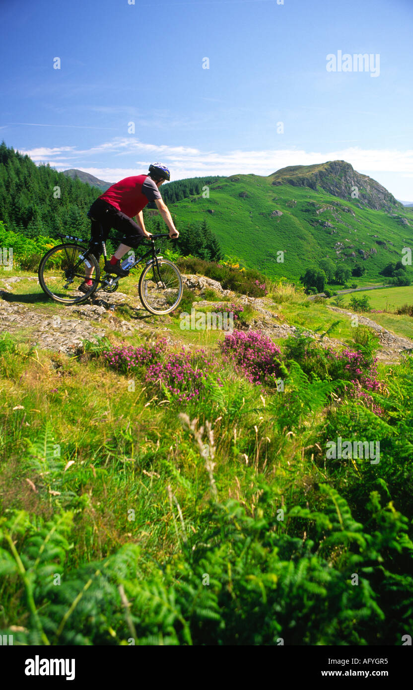 The cycling murrays hi-res stock photography and images - Alamy