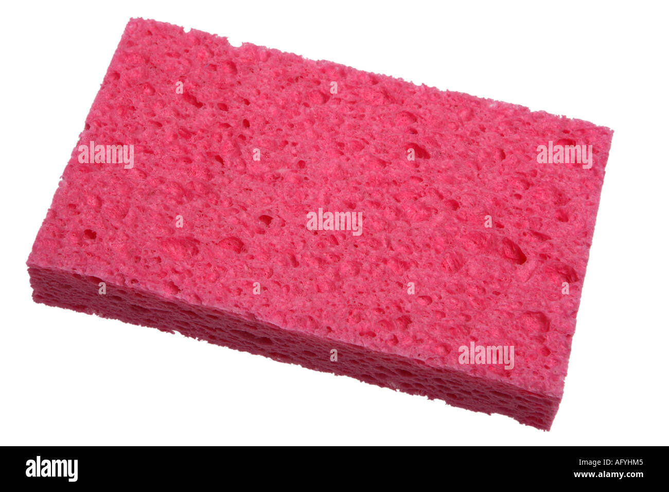 Pink Sponge Stock Photo