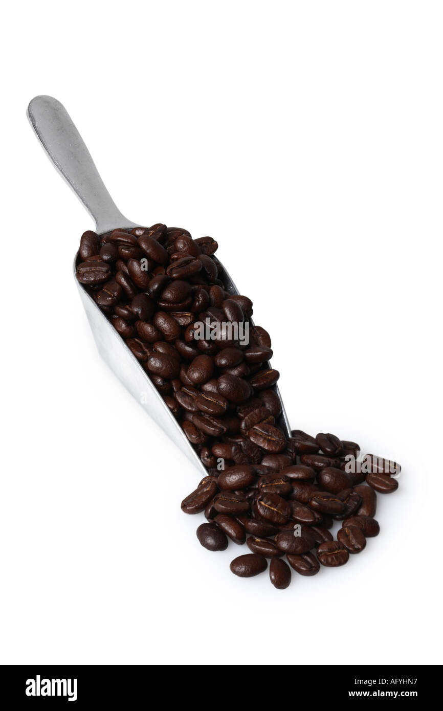 Scoop of Coffee Beans Stock Photo Alamy