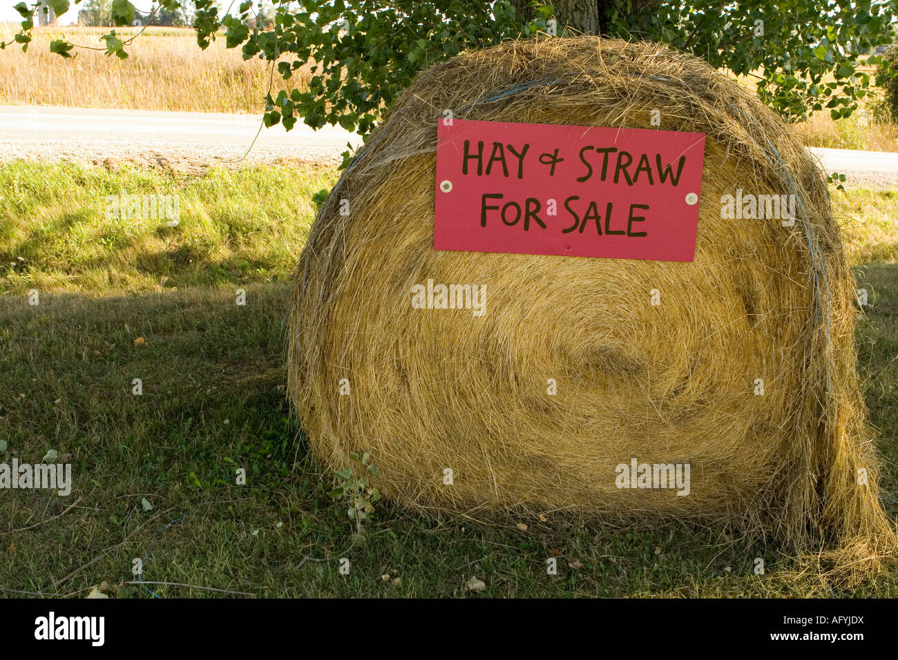 hay and straw for sale, Canada Stock Photo Alamy