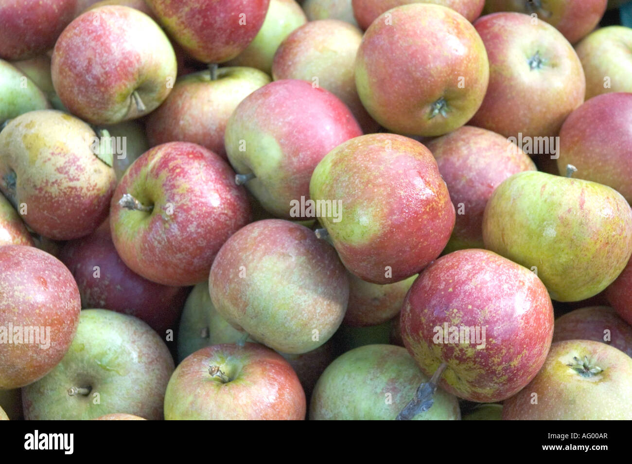 Coxes Apples piled high at Islington Farmers Market London England, UK Stock Photo