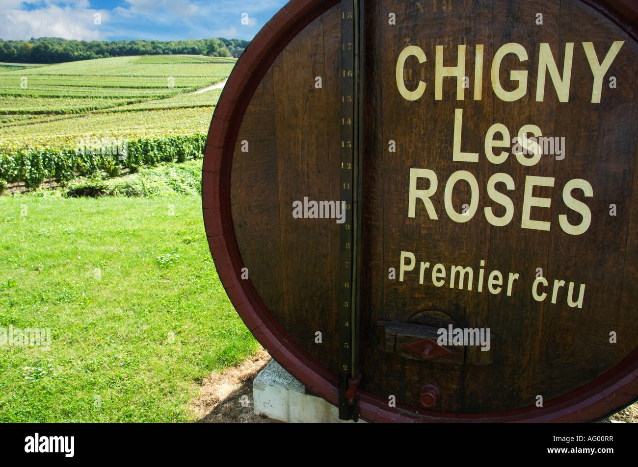 Chigny les roses champagne france hi-res stock photography and images ...