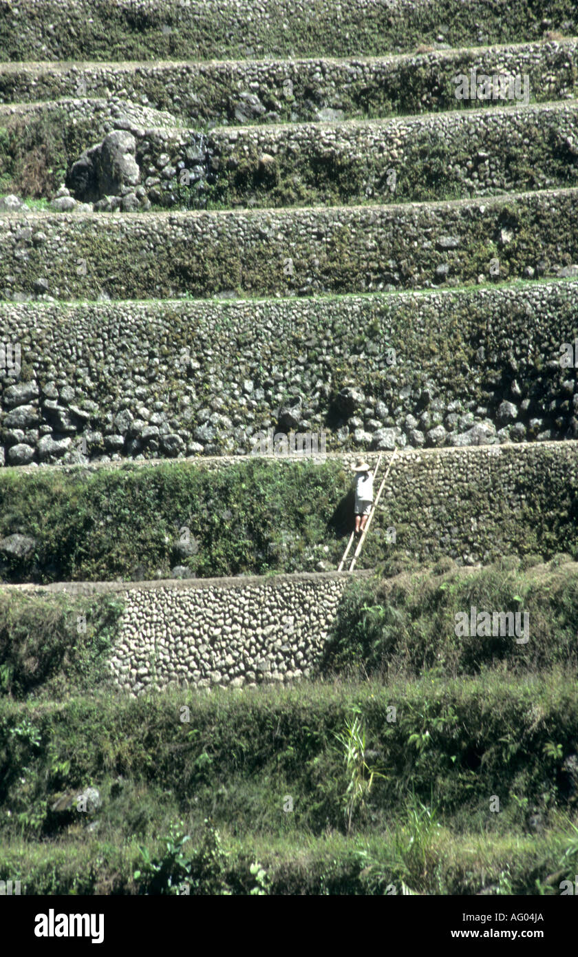 2000 year old Banaue rice terraces on Luzon Island in the Philippines ...