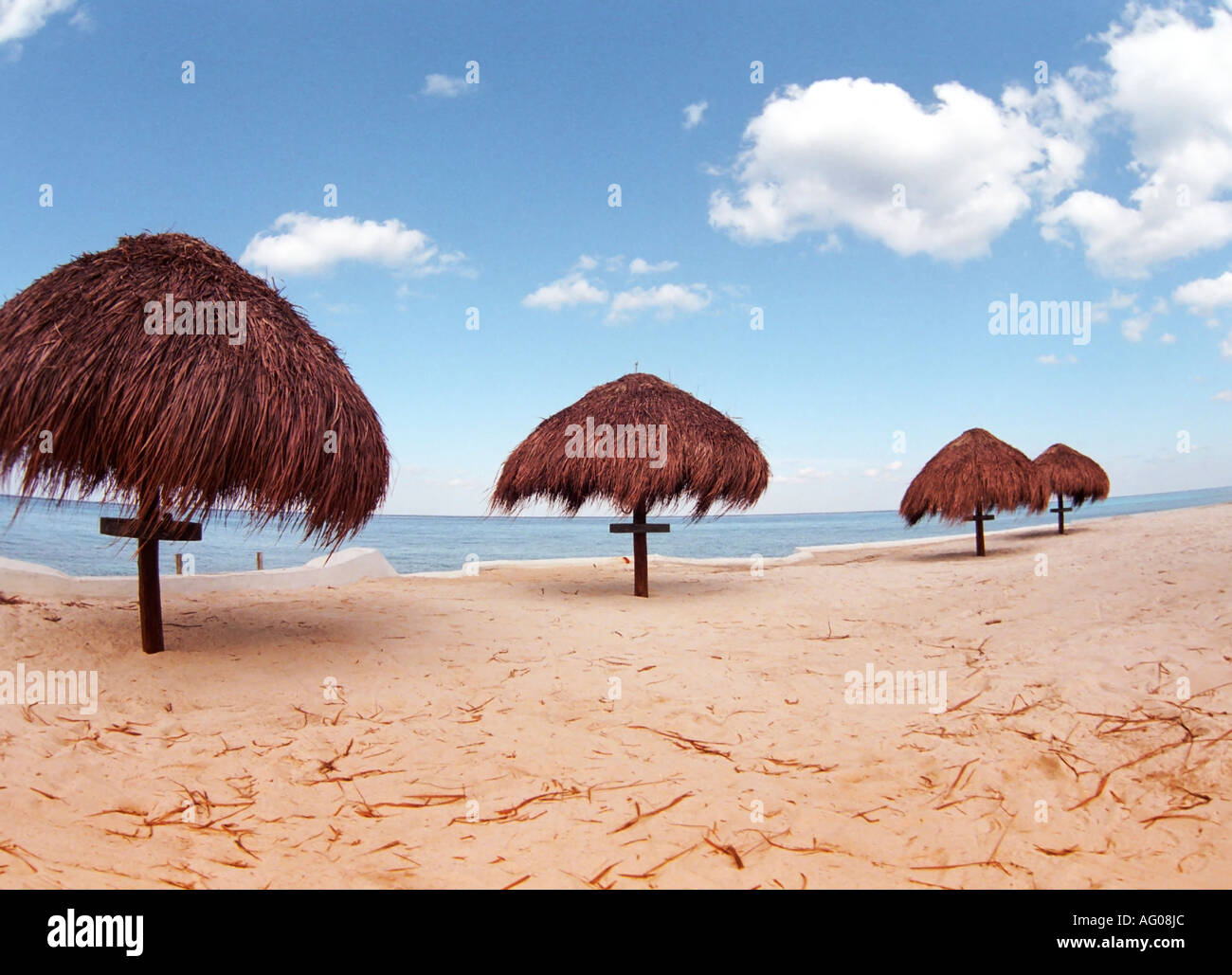 Straw umbrellas on the Caribbean beach, Cozumel, Mexico Stock Photo Alamy