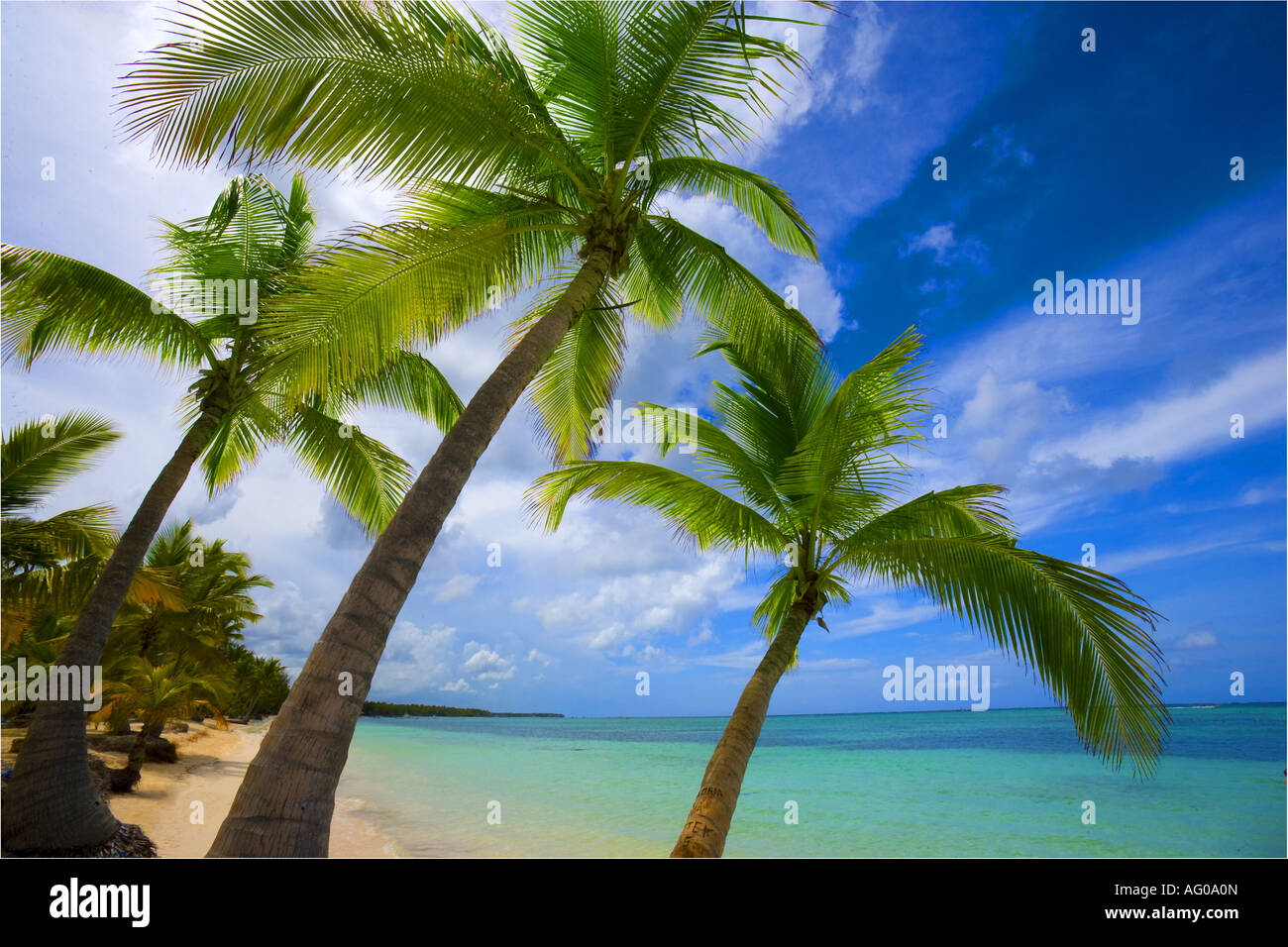 Bavaro Beach, Dominican Republic Stock Photo