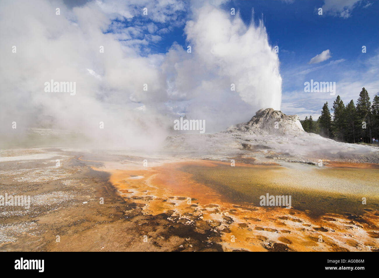 castle geyser upper geyser basin yellowstone national park wyoming usa united states of america Stock Photo