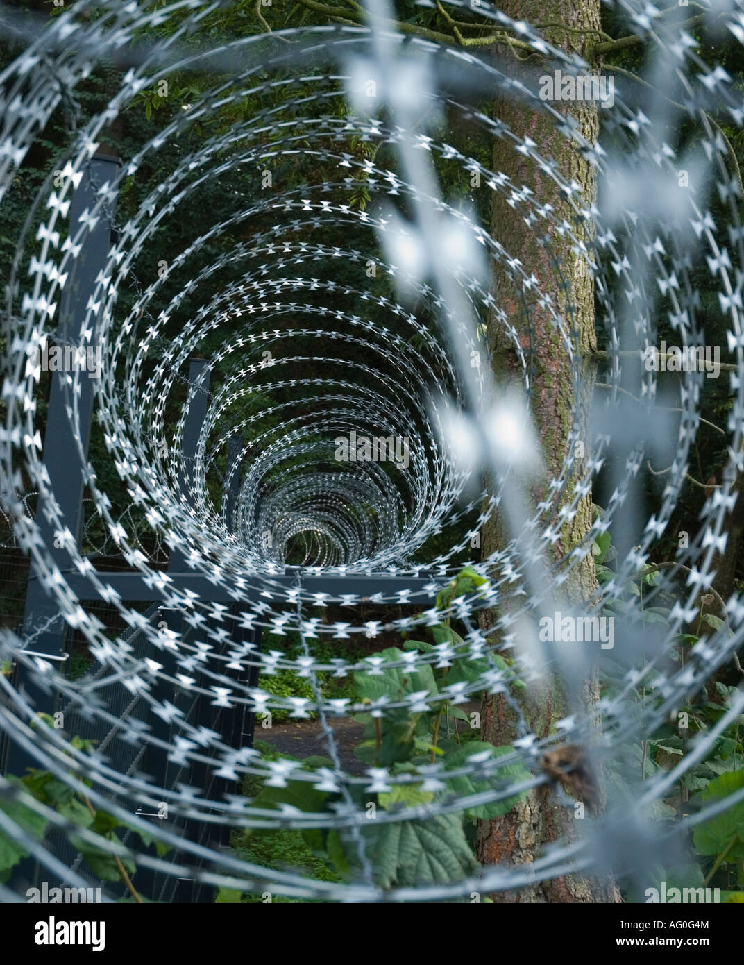 Razor wire on fence hi-res stock photography and images - Alamy