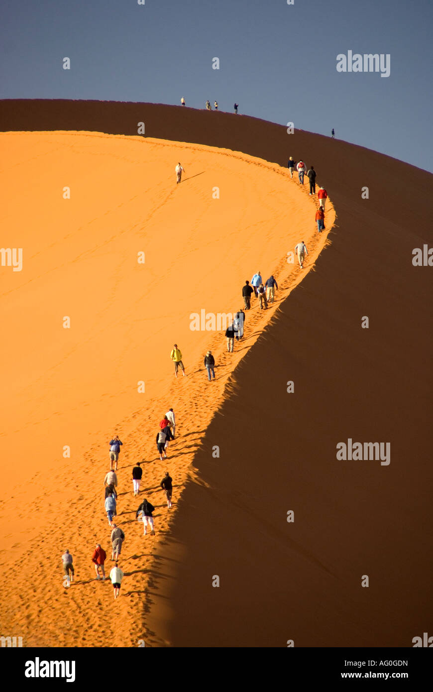 Climbers on Dune 45 at Sossusvlei sand dune, Naukluft Park, Namibia ...