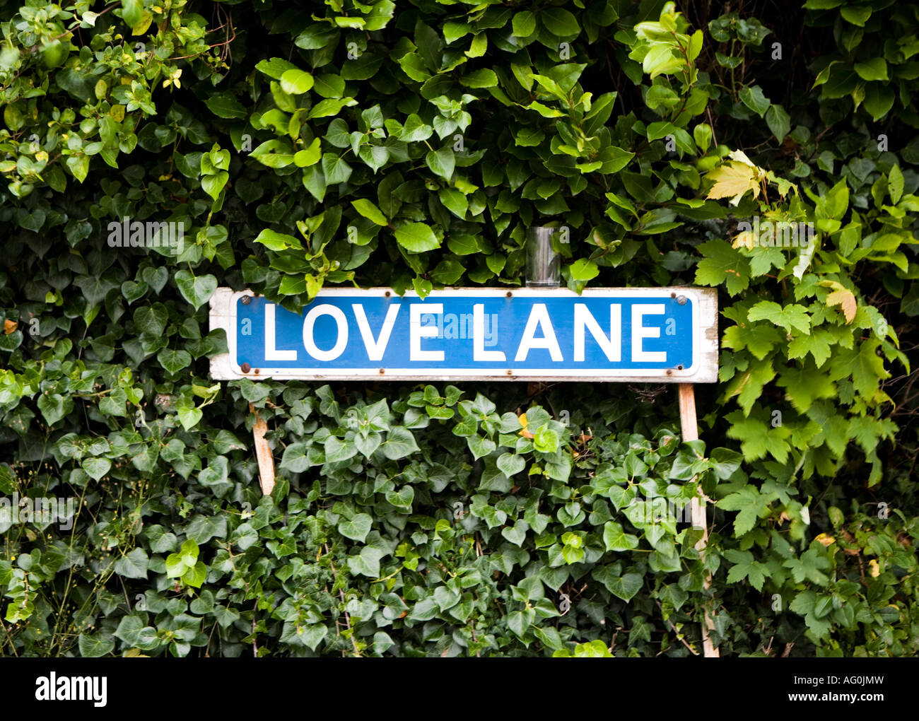 British road sign for Love Lane Stock Photo Alamy