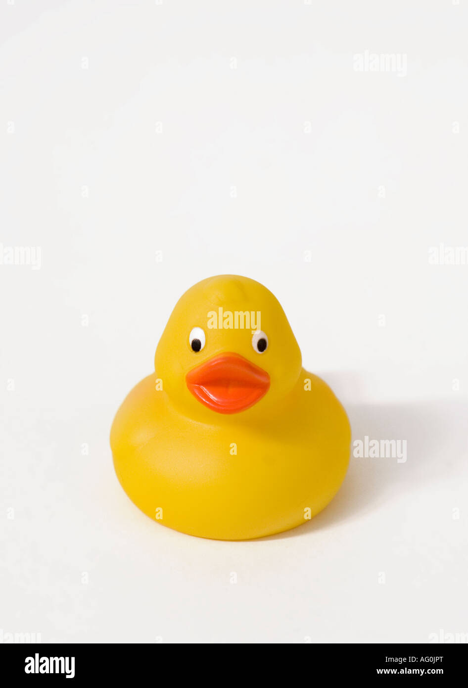 Yellow rubber duck on white background Stock Photo - Alamy