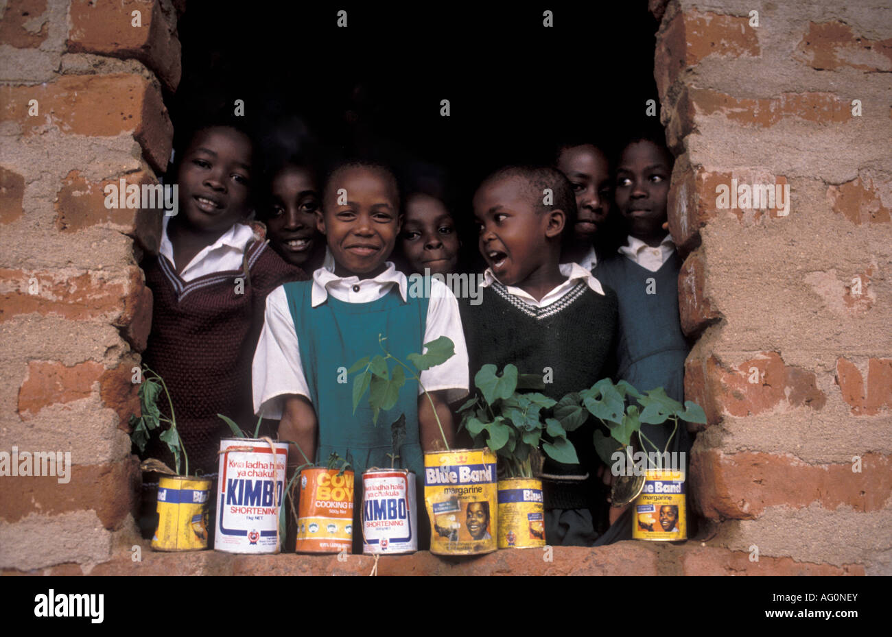 Schoolchildren with their bean plants, Tanzania. Stock Photo