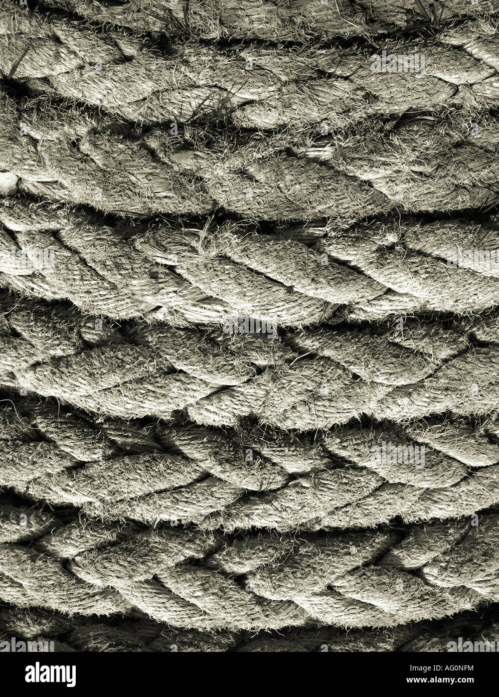 Rough fibre hi-res stock photography and images - Alamy