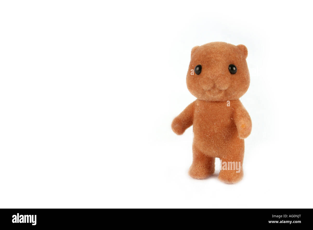 Family of squirrel Cut Out Stock Images & Pictures - Alamy