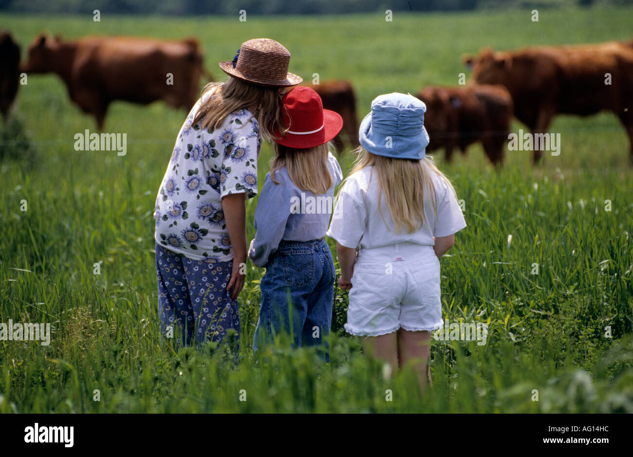 Three little girls looking at cows Stock Photo - Alamy