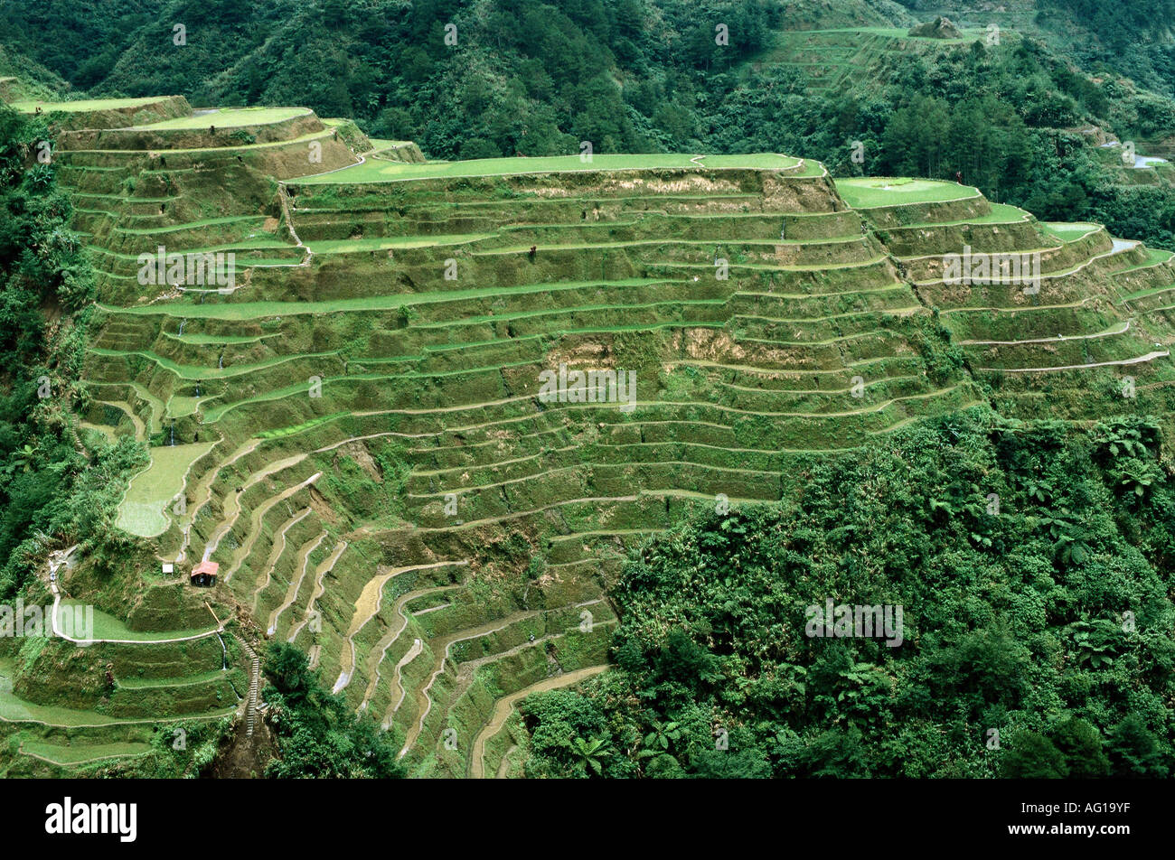 geography / travel, Philippines, landscape / landscapes, rice terrace