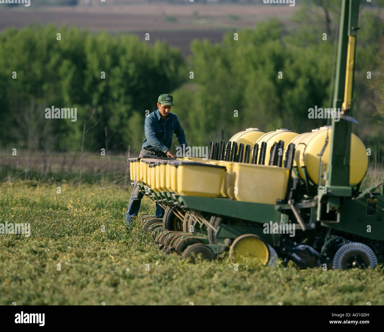 Alfalfa seed field hi-res stock photography and images - Alamy