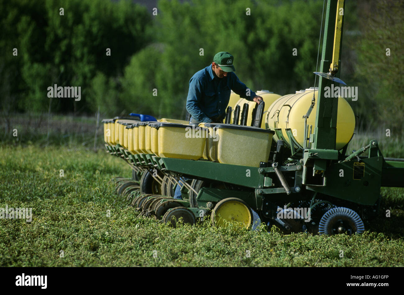 Checking soybeans hi-res stock photography and images - Alamy