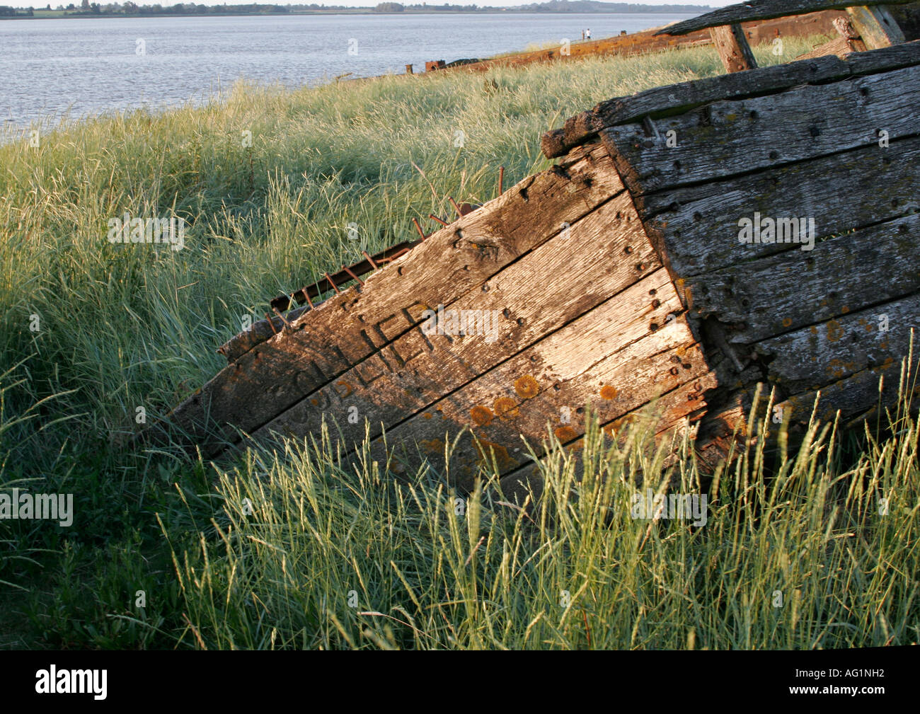 Severn Collier Wreck, Purton, Gloucestershire, England Stock Photo Alamy