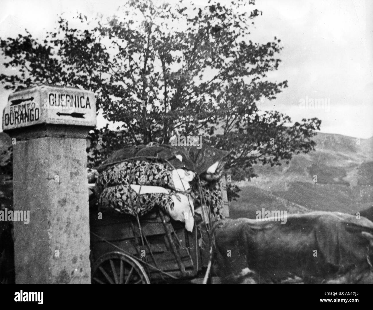 geography / travel, Spain, Spanish Civil War 1936 - 1939, Basque Region, 1937, oxen cart passing a direction sign to Guernica/Durango, 20th century, Gernika, historic, historical, 1930s, transportation, transporting, Europe, people, Stock Photo