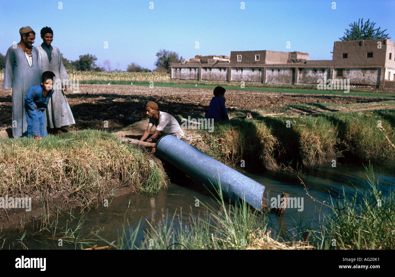 Features of irrigational agriculture in ancient Egypt 50 Features of irrigational agriculture in ancient Egypt 77