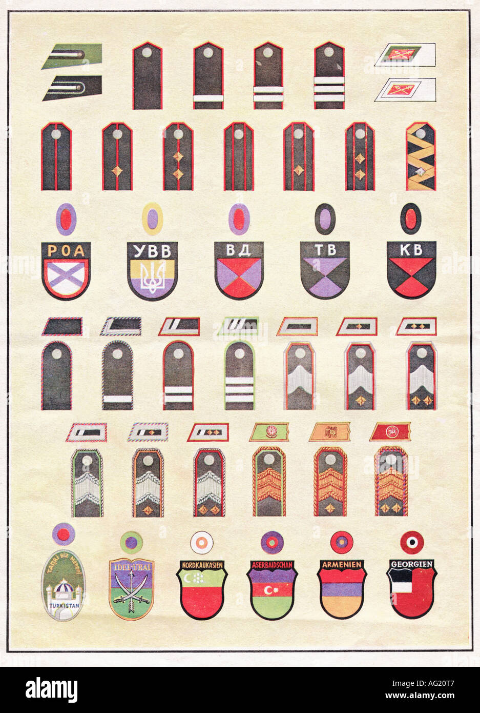 events, Second World War / WWII, foreigners in German service, badges of rank and insigna, Russian, Ukrainian, Cossack, Turkmenian, Caucasian, Armenian and Georgian, from "Signal", Number 24, 1943, special issue "East", French edition, Stock Photo