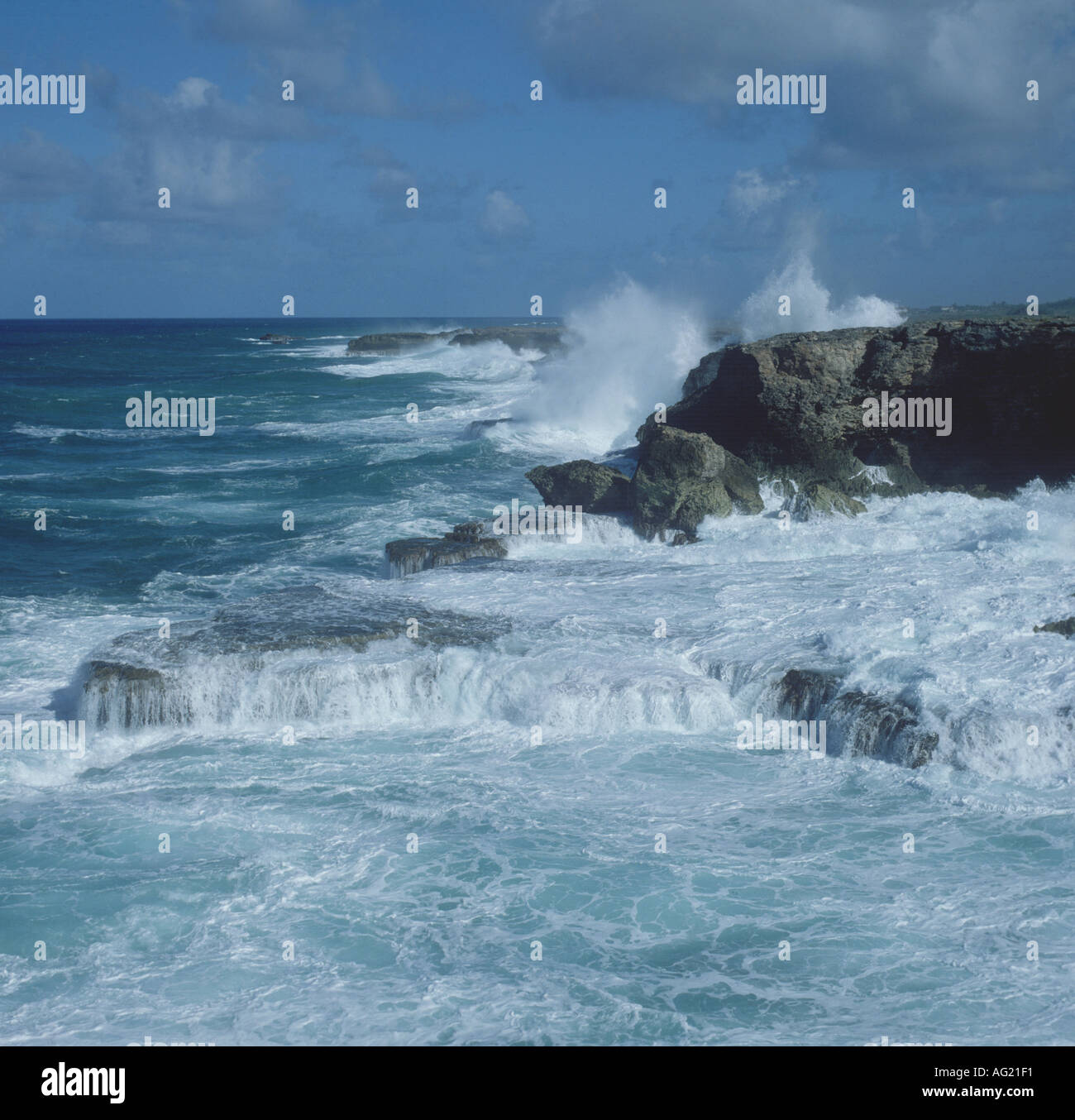 Waves pounding rocky coast in Barbados Stock Photo
