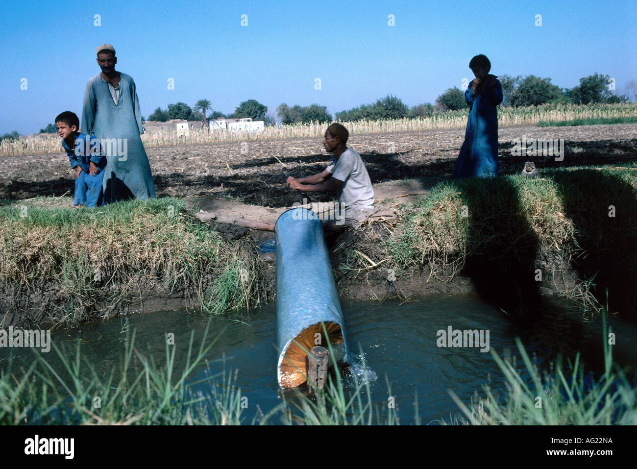 geography / travel, Egypt, agriculture, Nile valley, irrigation by