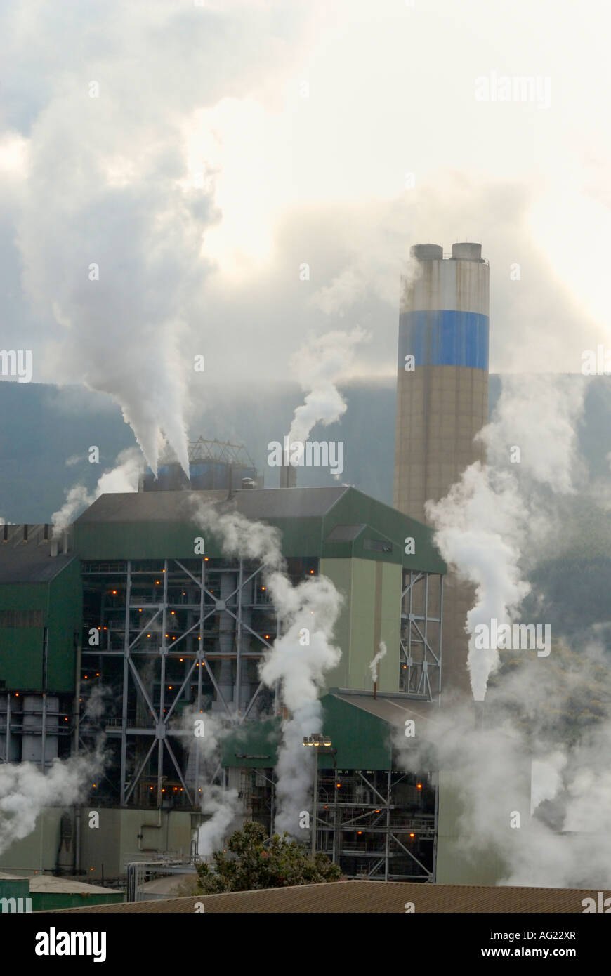 Paper and pulp hires stock photography and images Alamy