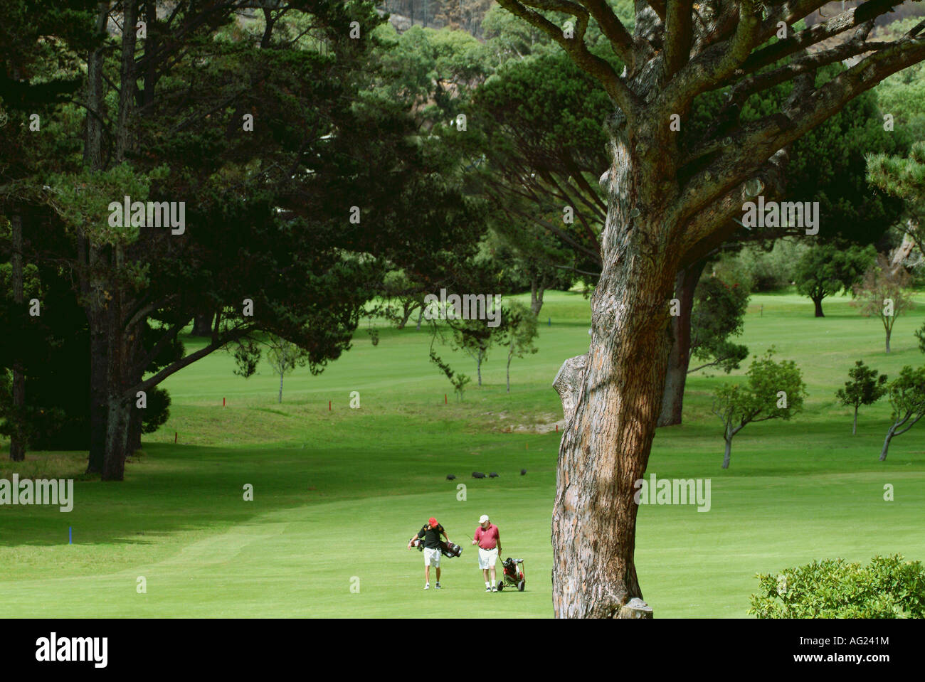 Two golfers in immaculate surroundings carrying their own clubs Stock Photo
