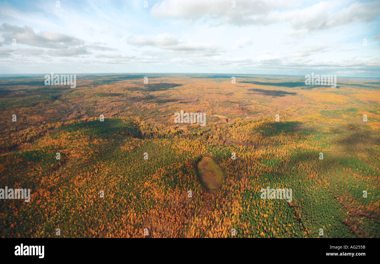 The Western Siberian swamps taken from a helicopter Stock Photo