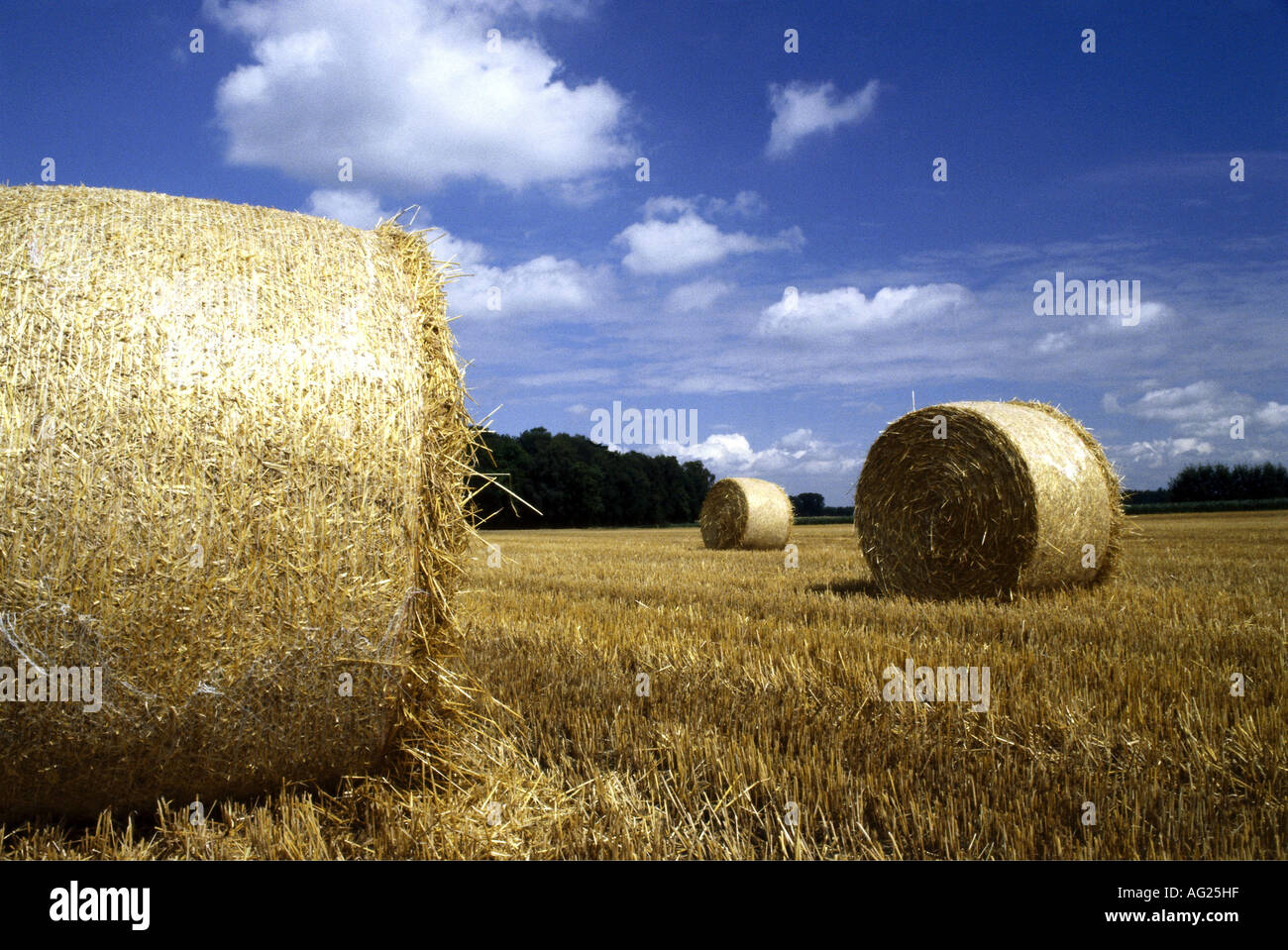 agriculture, acre, bales of straw, Wildeshauser Geest, Oldenburg, Lower Saxony, Germany, bale, field, fields, lanscape, Stock Photo